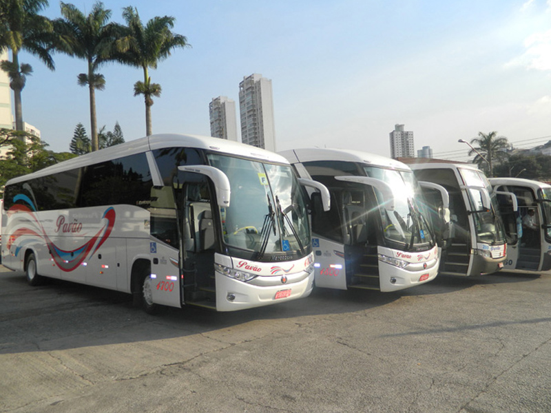 Transporte profissional de pessoas